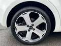Kia Rio 1.4 SEHR SAUBER SEHR GEPFLEGT KLIMA TEMPOMAT SHZ Weiß - thumbnail 14