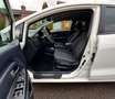 Kia Rio 1.4 SEHR SAUBER SEHR GEPFLEGT KLIMA TEMPOMAT SHZ Weiß - thumbnail 5
