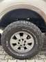 Ford F 150 XLT Doppia Cabina 4 porte 6 posti Bronzo - thumbnail 13