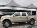 Ford F 150 XLT Doppia Cabina 4 porte 6 posti Bronzo - thumbnail 4