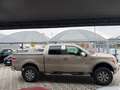 Ford F 150 XLT Doppia Cabina 4 porte 6 posti Bronzo - thumbnail 5