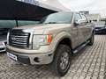 Ford F 150 XLT Doppia Cabina 4 porte 6 posti Bronzo - thumbnail 3