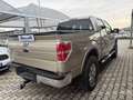 Ford F 150 XLT Doppia Cabina 4 porte 6 posti Bronzo - thumbnail 6