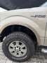 Ford F 150 XLT Doppia Cabina 4 porte 6 posti Bronzo - thumbnail 11