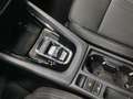 Skoda Octavia Combi 2.0 TDI DSG FIRST ED. LM18 SPORTPA Schwarz - thumbnail 11