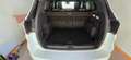 Ford Kuga ST-Line Weiß - thumbnail 12