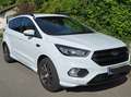 Ford Kuga ST-Line Weiß - thumbnail 1