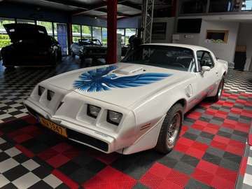 6.6 V8 auto