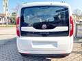 Fiat Doblo Doblo 1.6 mjt 120cv Easy Bianco - thumbnail 6