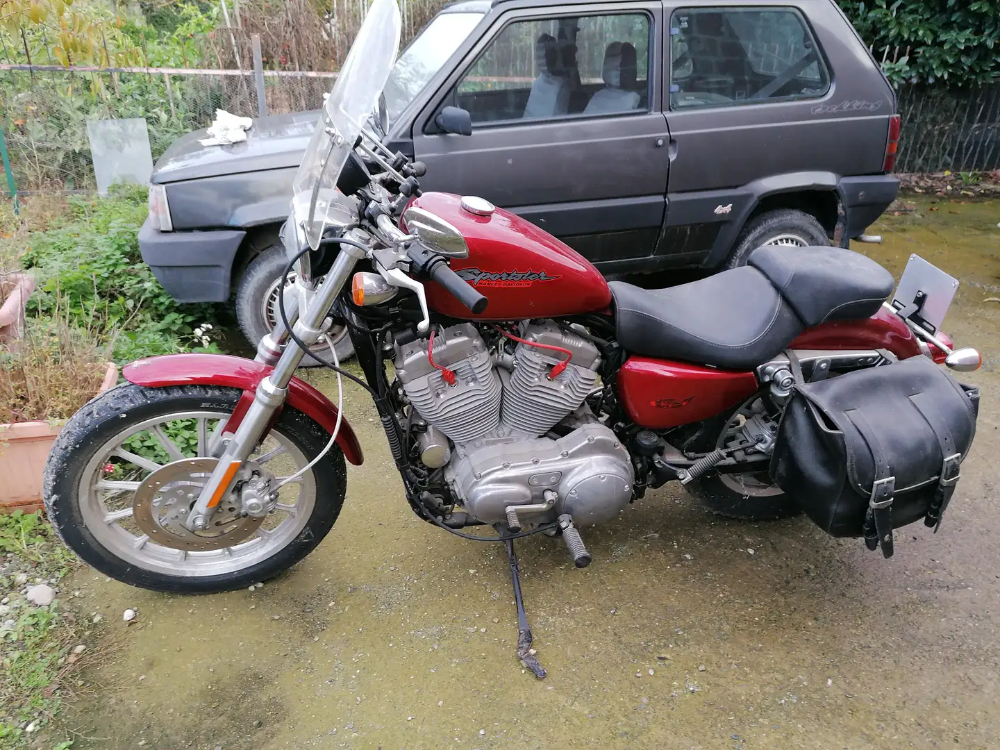 Harley-Davidson Sportster XL 883 Lilla - 2