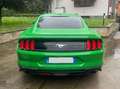 Ford Mustang Mustang VI 2015 Fastback 2.3 ecoboost 317cv Verde - thumbnail 2