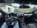 Ford Mustang Mustang VI 2015 Fastback 2.3 ecoboost 317cv Verde - thumbnail 4