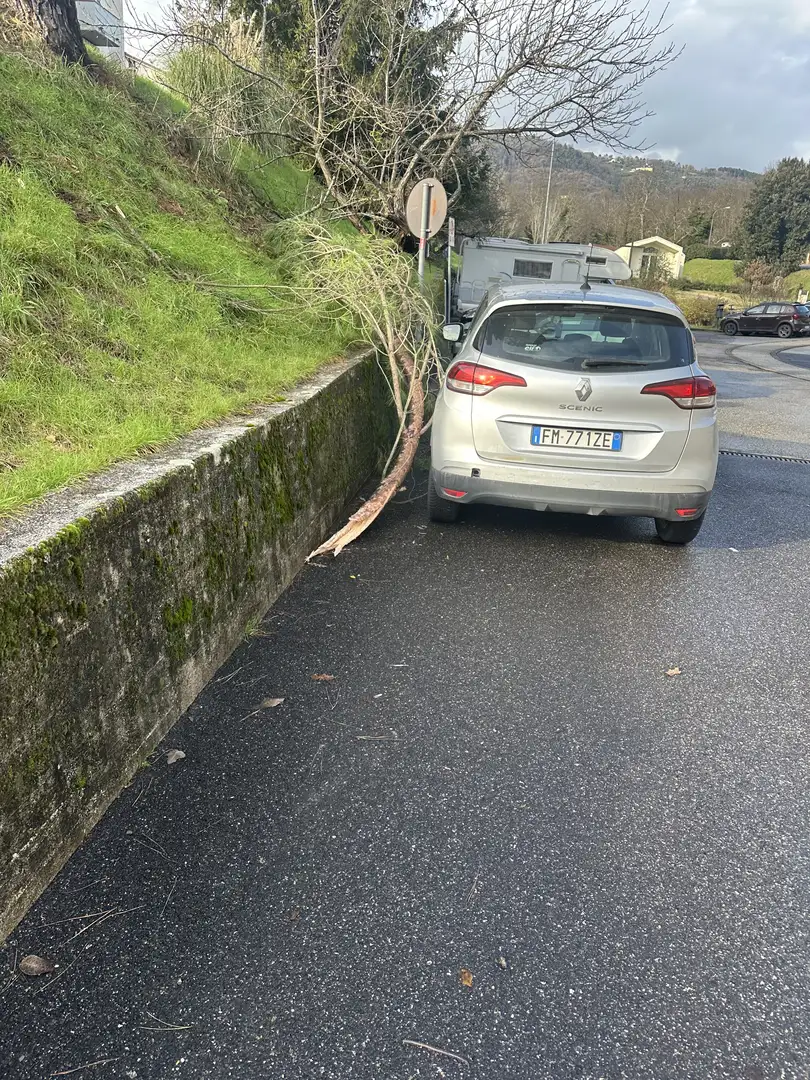 Renault Scenic 1.5 dci energy Life 95cv - 1