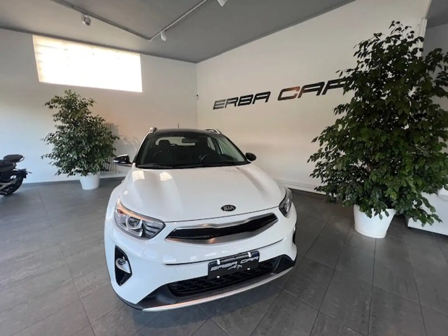 Kia Stonic Stonic 1.6 crdi Energy 115cv my18 Blanc - 2