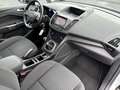 Ford C-Max 1.0 Ambiente Carplay / Trekhaak / All-Seasons Blanc - thumbnail 23
