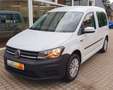 Volkswagen Caddy Trendline  - erst 8.000 km gelaufen !!! Blanc - thumbnail 1