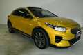 Kia XCeed 1.4 T-GDI Platinum Edit. ACC*PANO*TW*JBL* Klima Gold - thumbnail 4