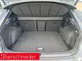 CUPRA Formentor 2.0 TSI DSG 4Drive VZ LED NAVI 19 BEATS Grau - thumbnail 5