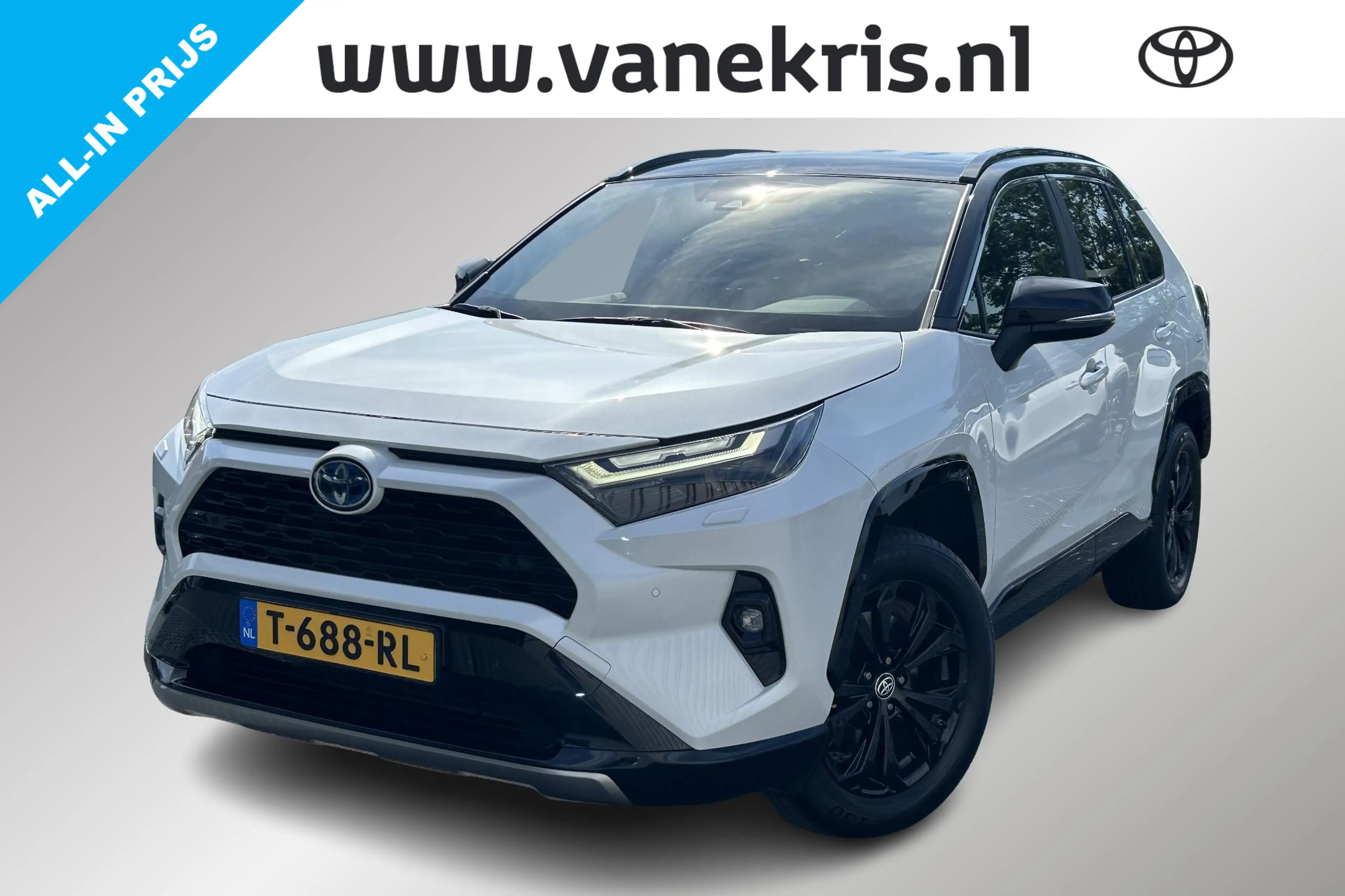 Toyota RAV 4 2.5 Hybrid AWD Bi tone, Bearlock, Trekhaak!