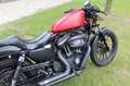 Harley-Davidson Sportster 883 Iron Rood - thumbnail 10