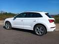 Audi Q5 Q5 35 TDI S line quattro-ultra S tronic 120kW S line Blanco - thumbnail 1