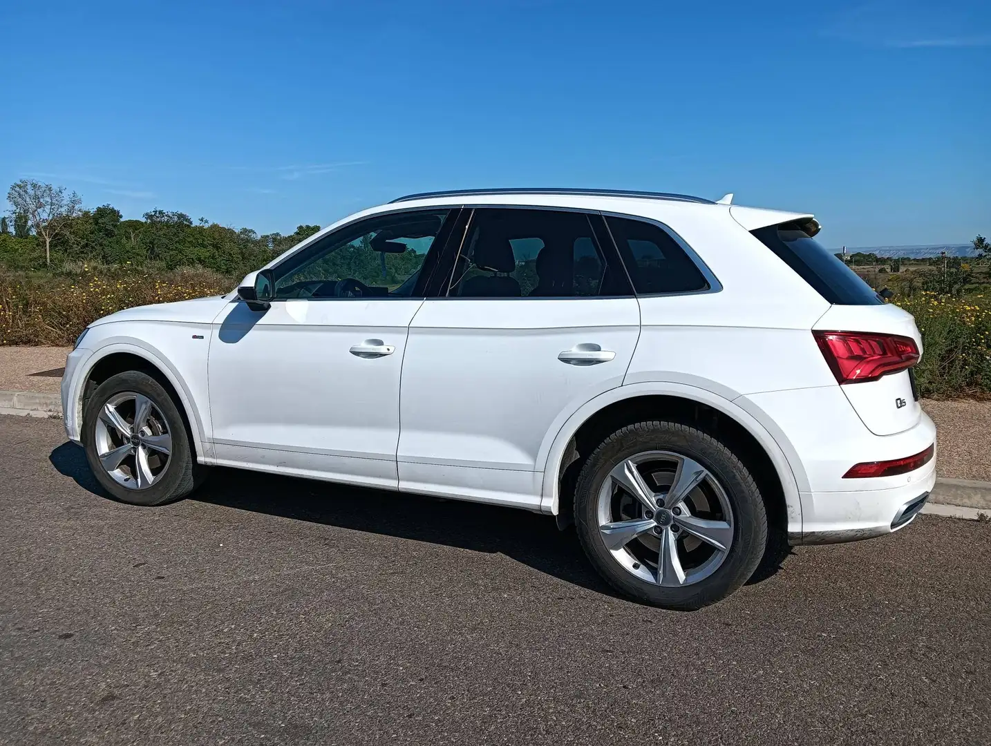 Audi Q5 Q5 35 TDI S line quattro-ultra S tronic 120kW S line Blanco - 1