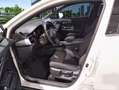 Toyota C-HR 125H Advance Blanco - thumbnail 7