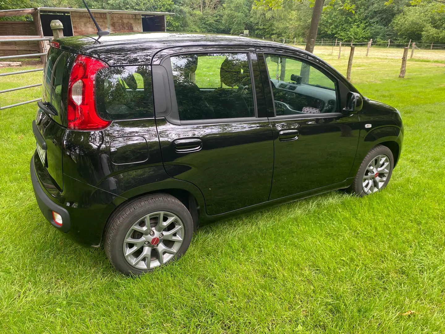 Fiat Panda Panda/Pandina 1.2 Lounge Schwarz - 2