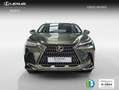 Lexus NX 300h 350h Business City 2WD Grün - thumbnail 2