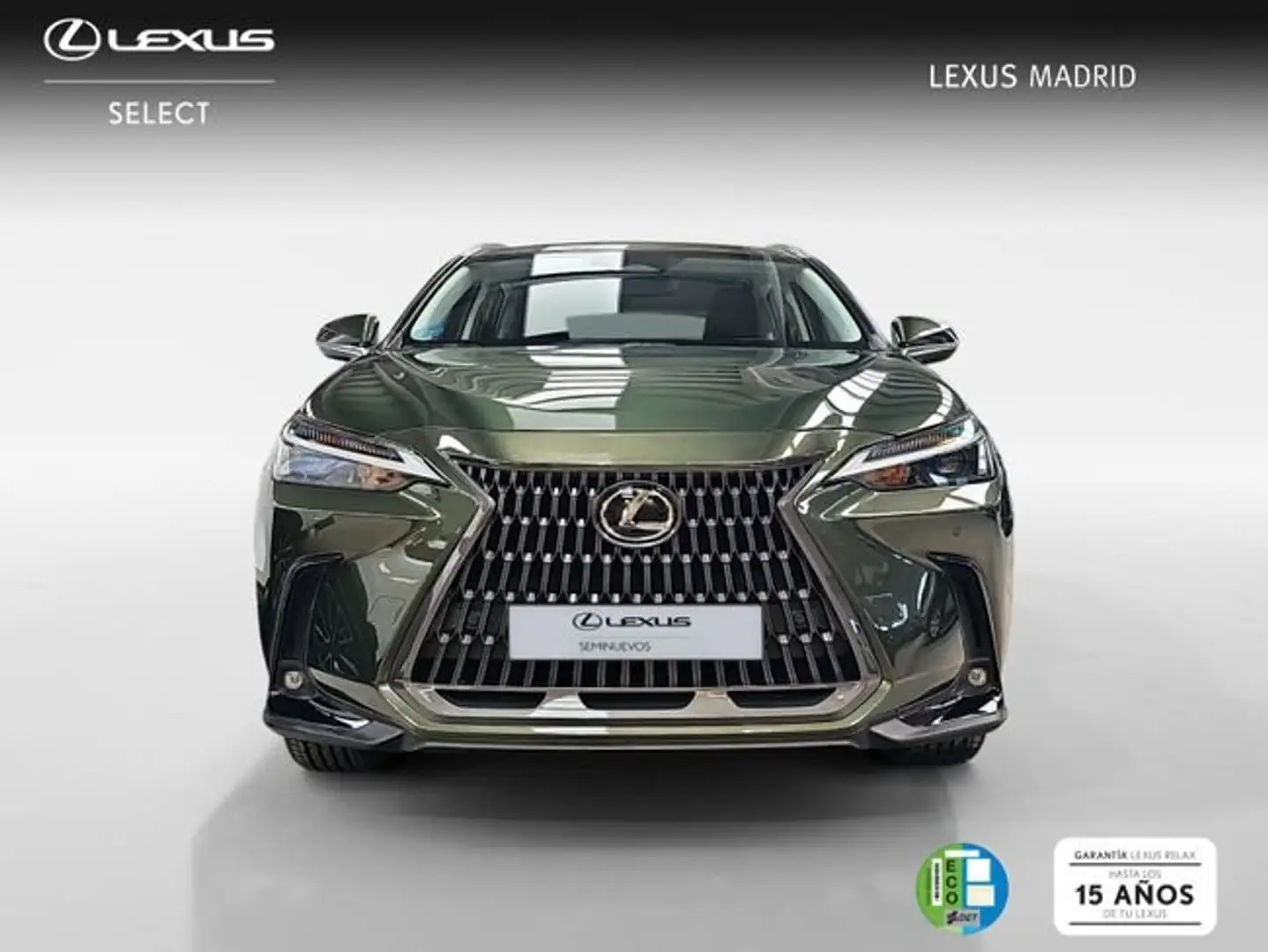 Lexus NX 300h 350h Business City 2WD Grün - 2