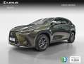 Lexus NX 300h 350h Business City 2WD Grün - thumbnail 1