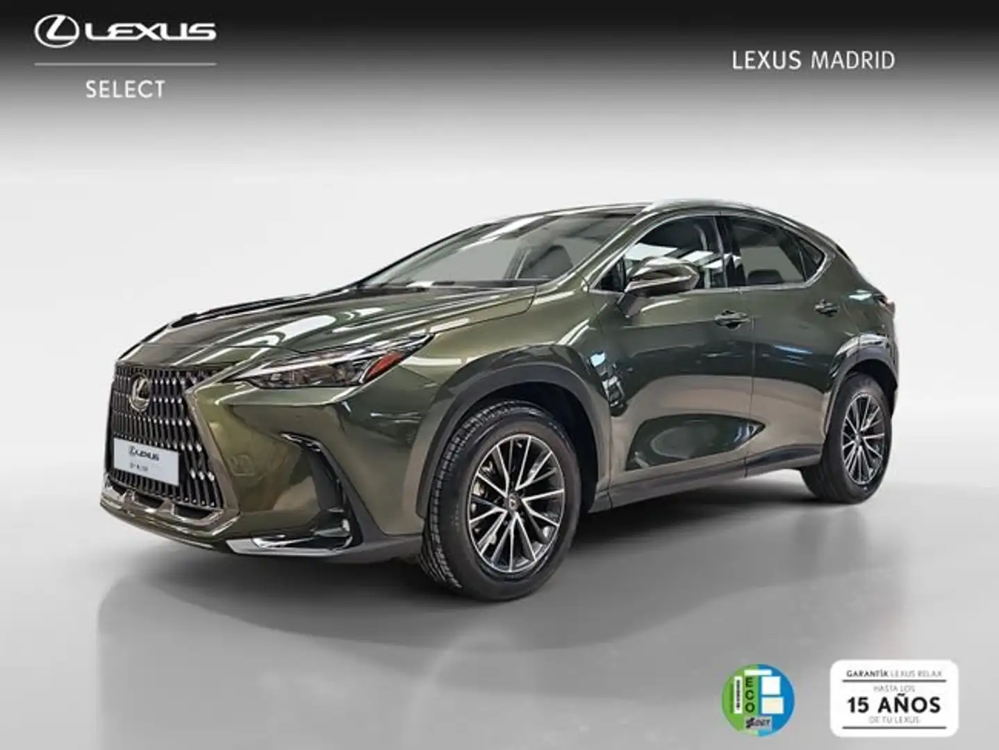 Lexus NX 300h 350h Business City 2WD Grün - 1
