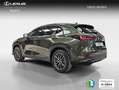 Lexus NX 300h 350h Business City 2WD Verde - thumbnail 3