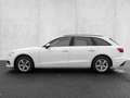 Audi A4 Avant 35 TDI S tronic 360 ACC AHK AKUSTIKGLAS Weiß - thumbnail 6