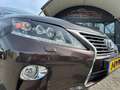 Lexus RX 450h 4WD Luxury Line Facelift model Rijklaarprijs! Brązowy - thumbnail 12