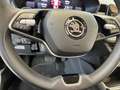 Skoda Fabia Drive 1.0 TSI DSG Winter-Paket Smartlink Blau - thumbnail 21