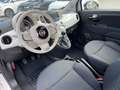 Fiat 500 Hatchback MY23 Hybrid Blanco - thumbnail 6