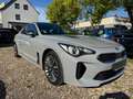 Kia Stinger GT-Line 4WD MwSt 1 Hand Garantie 5.26 Grau - thumbnail 1