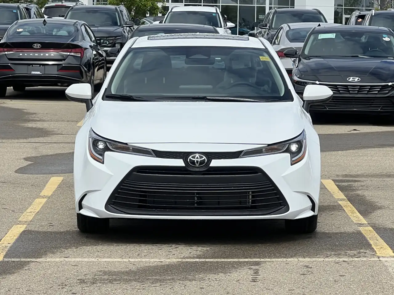 Toyota Corolla photo Toyota Corolla