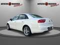 SEAT Exeo 2.0 TDI Style Weiß - thumbnail 4