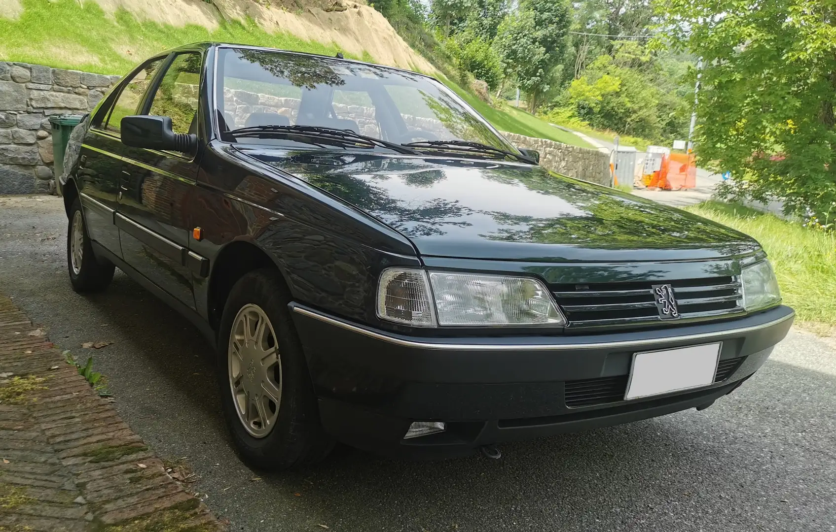 Peugeot 405 405 1.6 SR Verde - 1