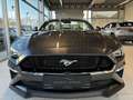 Ford Mustang Privat Verkauf Convertible GT Gris - thumbnail 5