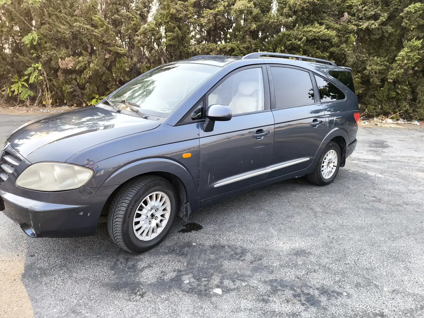 SsangYong Rodius 270 Xdi Limited 165 - 1