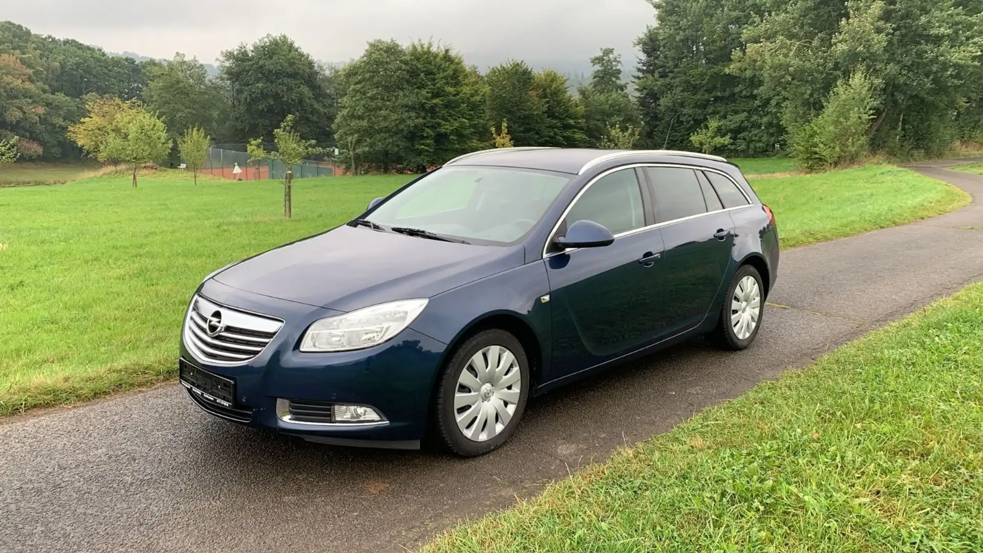 Opel Insignia A Sports Tourer Edition Automatik Blau - 1