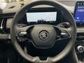Skoda Kodiaq 2.0 TDI4x4 Selection*5JG*AHK*Leder*Matrix Noir - thumbnail 11