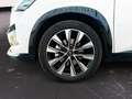 Renault Austral TECHNO FULL HYBRID E-TECH 200CV Blanco - thumbnail 10