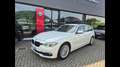 BMW 316 d Luxury Weiß - thumbnail 1