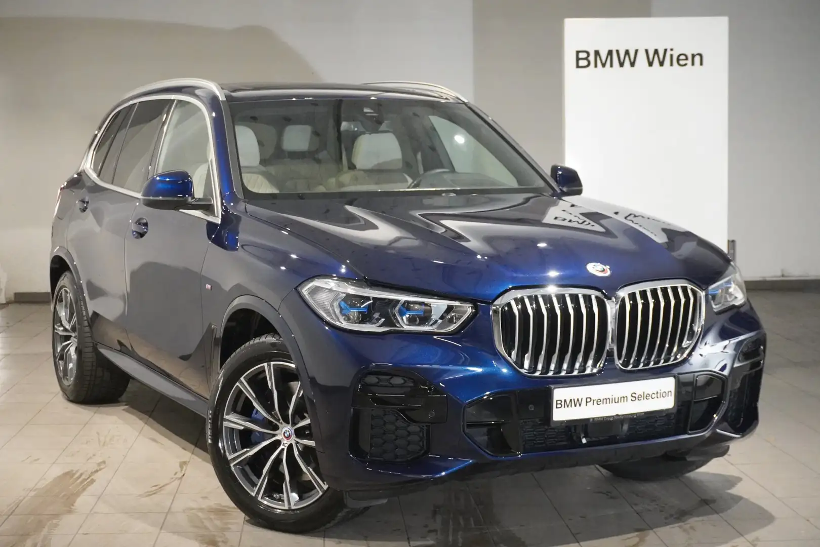 BMW X5 xDrive40i Bleu - 1