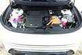 Kia Niro Edition 7 HEV 130 ACC SHZ KeyL Kam Nav LM16 PDC... Weiß - thumbnail 12