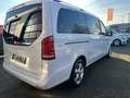 Mercedes-Benz V 250 V  250 CDI/ AVANTG./EDITION LANG/LED/KAMERA/ Blanco - thumbnail 5